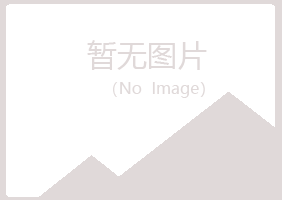 日照山柳会计有限公司